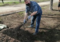 Всероссийский субботник